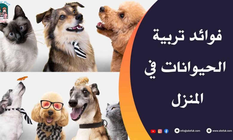 فوائد تربية الحيوانات الأليفة للاطفال