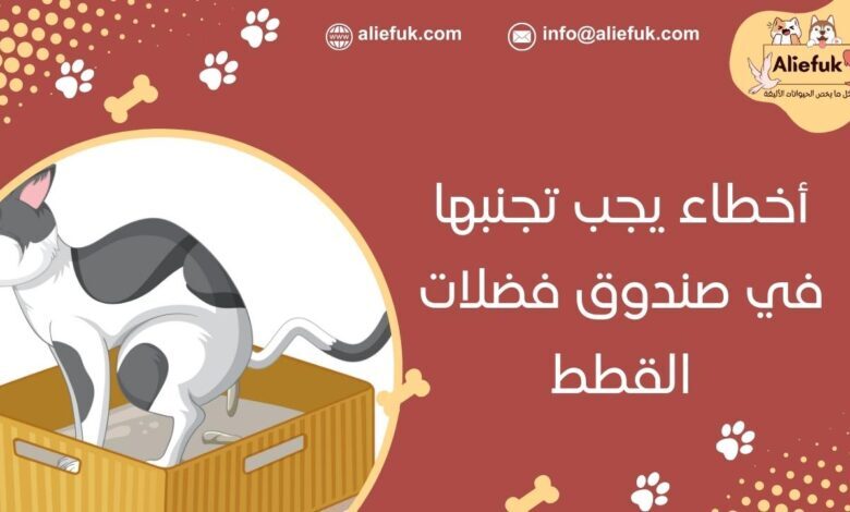 أخطاء في صندوق فضلات القطط