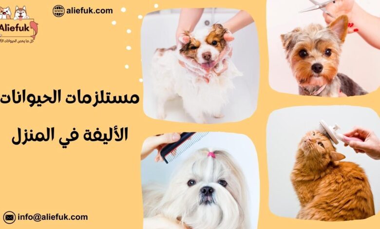 ما هي مستلزمات الحيوانات الأليفة؟ - موقع أليفك أدوات أو مستلزمات الحيوانات الأليفة