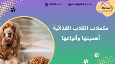 مكملات الكلاب الغذائية