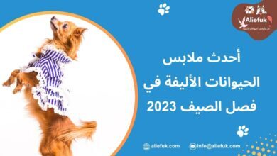 ما هي ملابس الحيوانات الأليفة