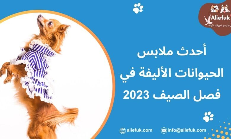 أحدث ملابس الحيوانات الأليفة في فصل الصيف 2023 - موقع أليفك ما هي ملابس الحيوانات الأليفة