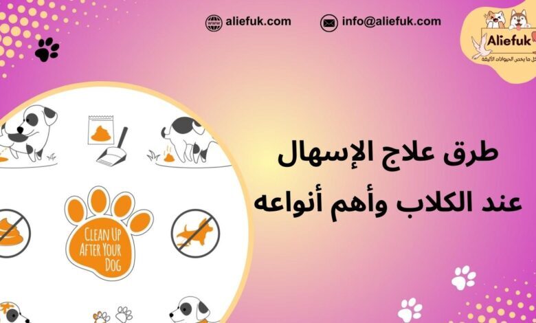 ما هو علاج الإسهال عند الكلاب