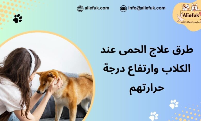 علاج الحمى عند الكلاب
