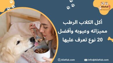 مميزات أكل الكلاب الرطب