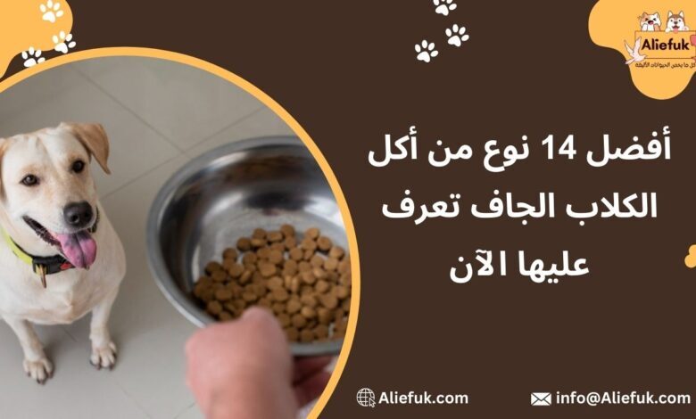 أكل الكلاب الجاف