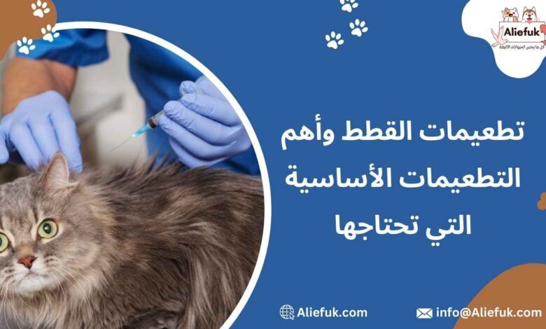 ما هي أنواع تطعيمات القطط