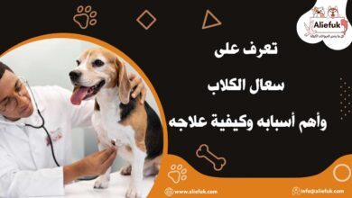 علاج سعال الكلاب