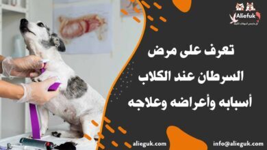 علاج السرطان عند الكلاب