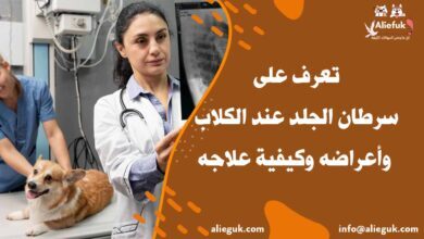 علاج سرطان الجلد عند الكلاب