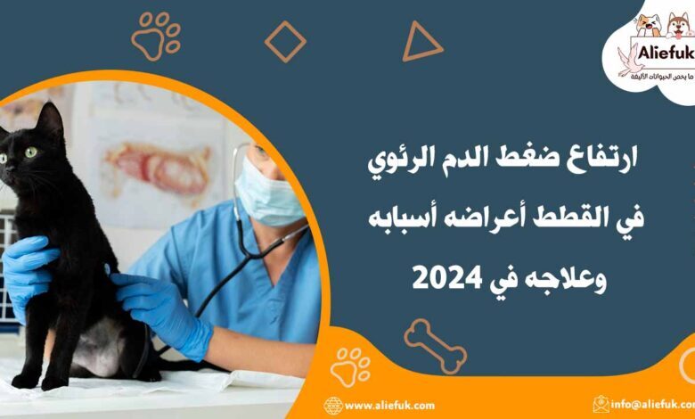 علاج ارتفاع ضغط الدم الرئوي في القطط