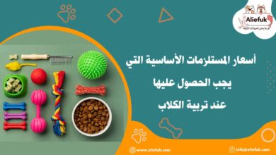 المستلزمات الأساسية للكلاب