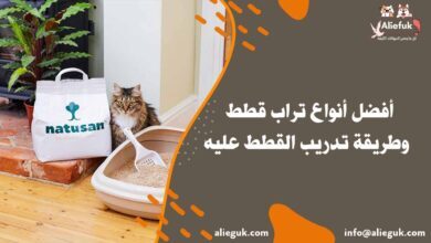 أنواع تراب قطط