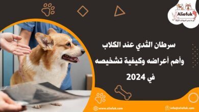 علاج سرطان الثدي عند الكلاب