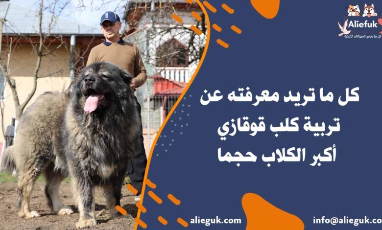 سعر كلب قوقازي