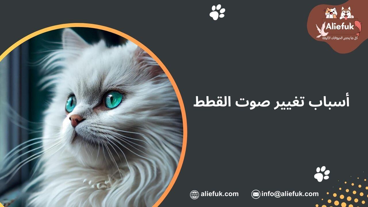 تغيير صوت القطط