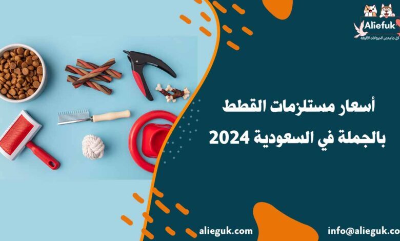 ما هي أسعار مستلزمات القطط بالجملة