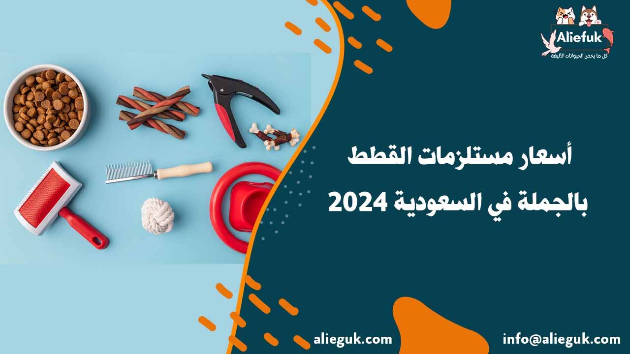 موقع للبيع بالجملة في السعودية