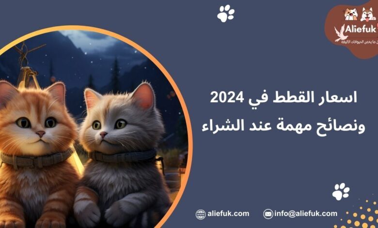 ما هي اسعار القطط في 2024
