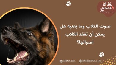أنواع صوت الكلاب