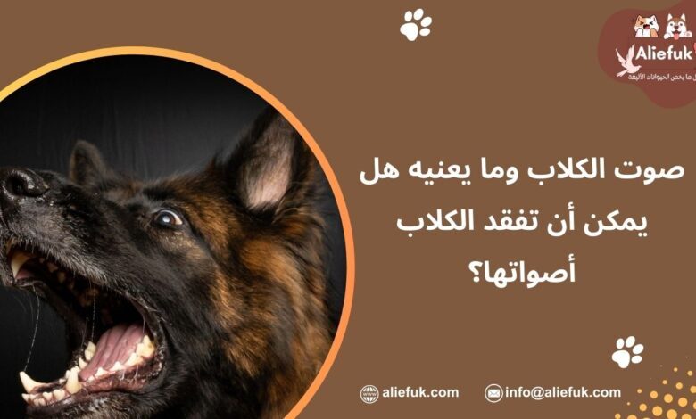 أنواع صوت الكلاب