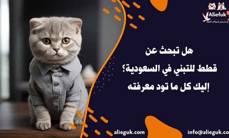 كيف تحصل على قطط للتبني في السعودية