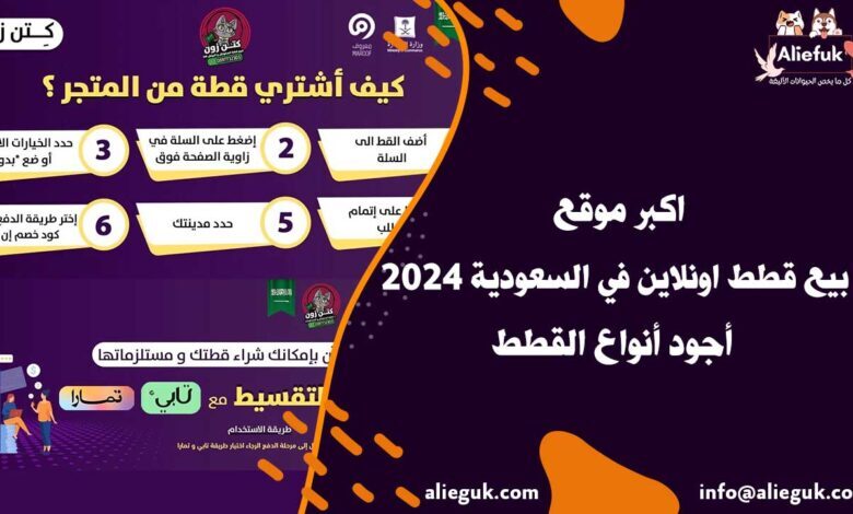 اكبر موقع بيع قطط اونلاين في السعودية