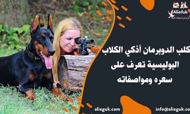 سعر كلب الدوبرمان