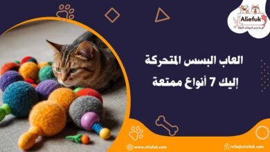 أجمل العاب البسس