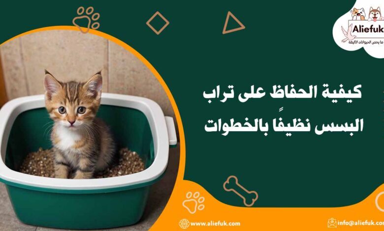أنواع تراب البسس