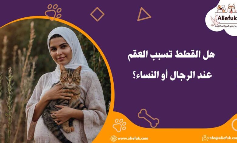 هل القطط تسبب العقم