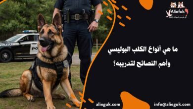 أفضل أنواع الكلب البوليسي