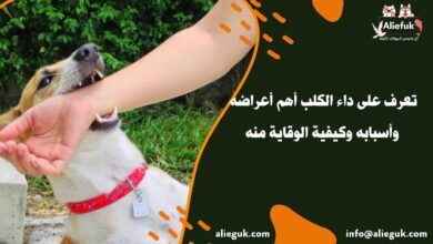 أعراض داء الكلب
