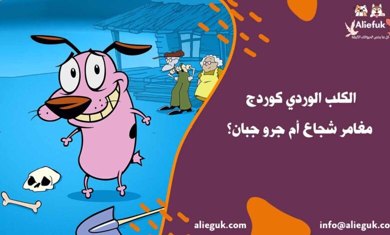 ما هو الكلب الوردي كوردج