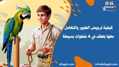 كيفية ترويض الطيور