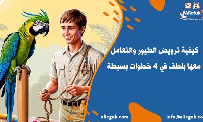 كيفية ترويض الطيور