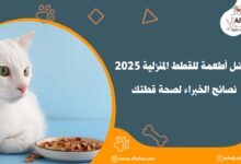 أفضل أطعمة للقطط المنزلية 2025